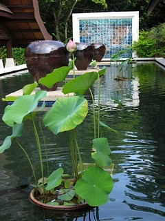 Courtesy of Monty Williams, SJ