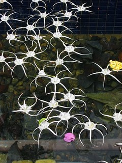 Courtesy of Monty Williams, SJ.