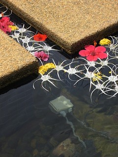 Courtesy of Monty Williams, SJ.