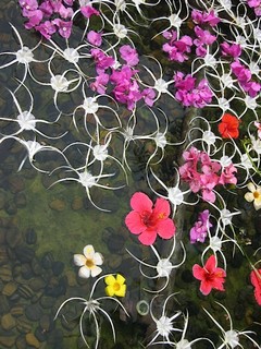 Courtesy of Monty Williams, SJ.