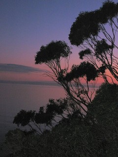 Courtesy of Monty Williams, SJ