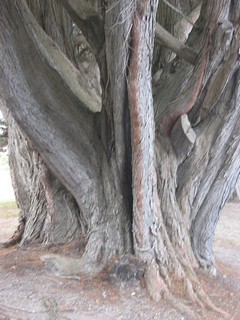 Courtesy of Monty Williams, SJ