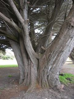 Courtesy of Monty Williams, SJ