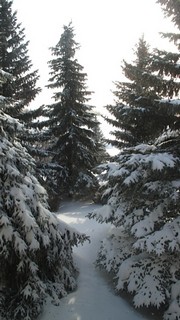 Courtesy of Frank Obrigewitsch, SJ