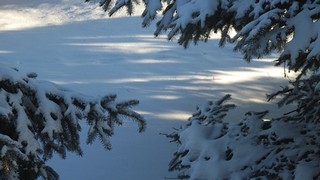 Courtesy of FRank Obrigewitsch, SJ