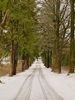 Courtesy of Moussa Faddoul.