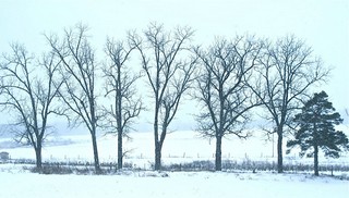 Courtesy of Brendan McManus, SJ