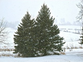 Courtesy of Brendan McManus, SJ