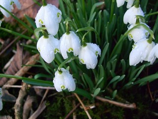 Courtesy of Brendan McManus, SJ