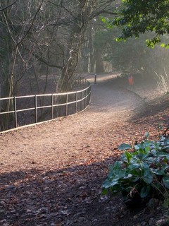 Courtesy of Brendan McManus, SJ