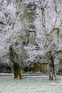 Courtesy of Brendan McManus, SJ