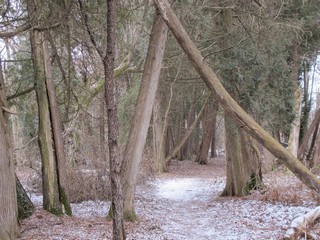 Courtesy of Brendan McManus, SJ