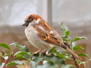 Courtesy of Brendan McManus, SJ