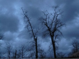 Courtesy of mennonitegirlscancook.ca