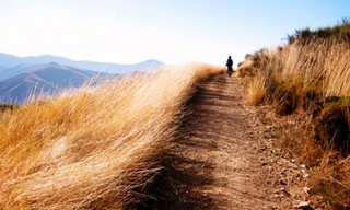 Courtesy of guardian.co.uk