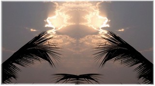 Courtesy of Courtesy of photo/montage: terryq