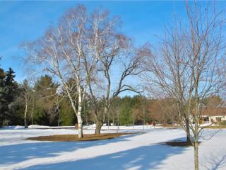 Courtesy of Brendan McManus, SJ