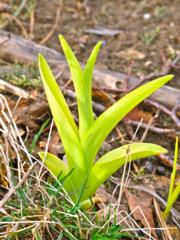 Courtesy of Brendan McManus, SJ