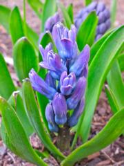 Courtesy of Brendan McManus, SJ