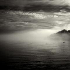 Courtesy of redbabble.com