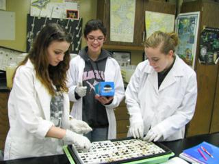 Courtesy of plantingscience.org