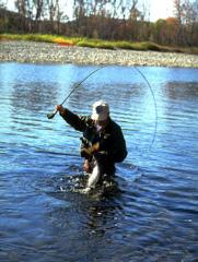 Courtesy of wilsonscamps.nb.ca