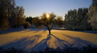 Courtesy of forum09.faithfreedom.org