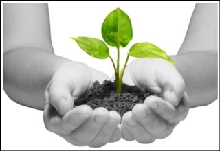 Courtesy of my.opera.com