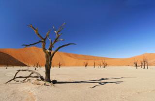 Courtesy of catholiccoursesbenedictpress.com