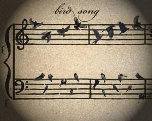 Courtesy of goodfuneralguide.co.uk