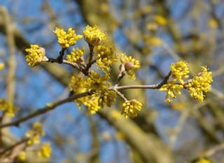 Courtesy of lifeintheitalianhills.com