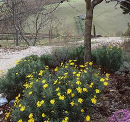 Courtesy of vancouversun.com