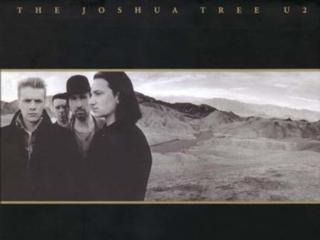 Courtesy of www.ign.com