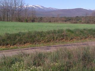 Courtesy of Erik Oland, SJ