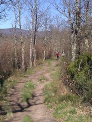 Courtesy of Erik Oland, SJ