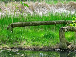 Courtesy of Brendan McManus