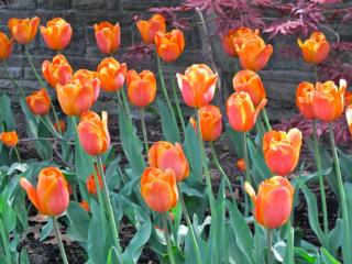 Courtesy of Brendan McManus, SJ