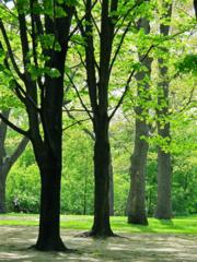 Courtesy of Brendan McManus, SJ