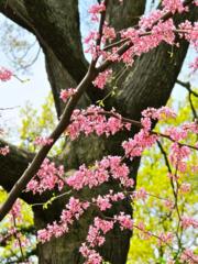 Courtesy of Brendan McManus, SJ