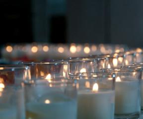 Courtesy of med.uth.tmc.edu