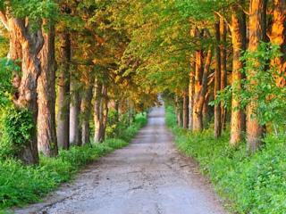 Courtesy of Brendan McManus, SJ