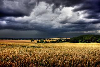 Courtesy of redbubble.com