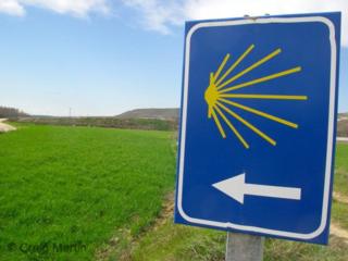 Courtesy of wikipedia.com