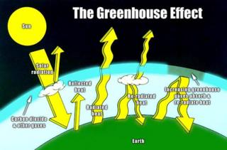 Courtesy of thegreeneconomy.com