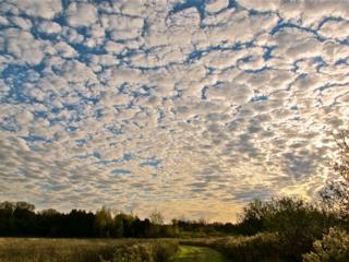 Courtesy of Brendan McManus, SJ