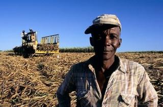 All photos in the article are courtesy of Paul Farquhar.