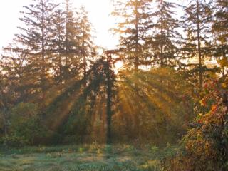 Courtesy of Brendan McManus, SJ