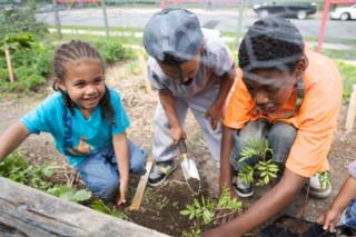 Courtesy of thrivenovascotia.ca