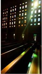 Courtesy of vanderbilt.edu