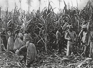 Source: commons.wikipedia.org